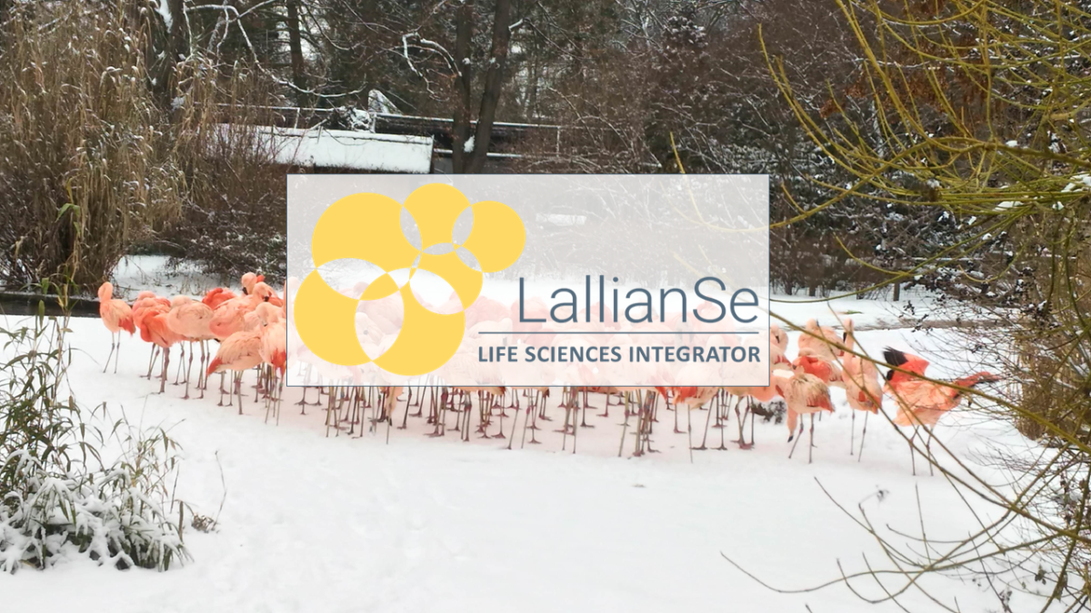 About last months November & December 2025